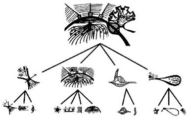 Décomposition hiérarchique