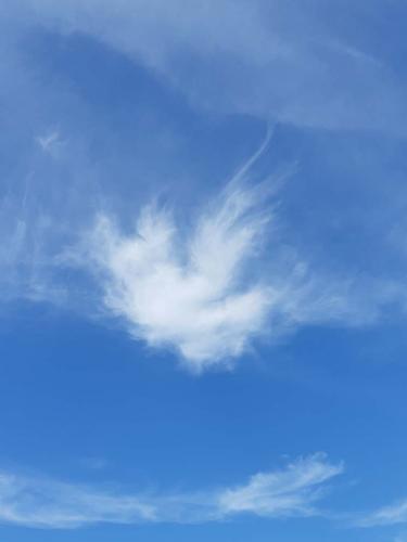 180909 Caboug L'Archange